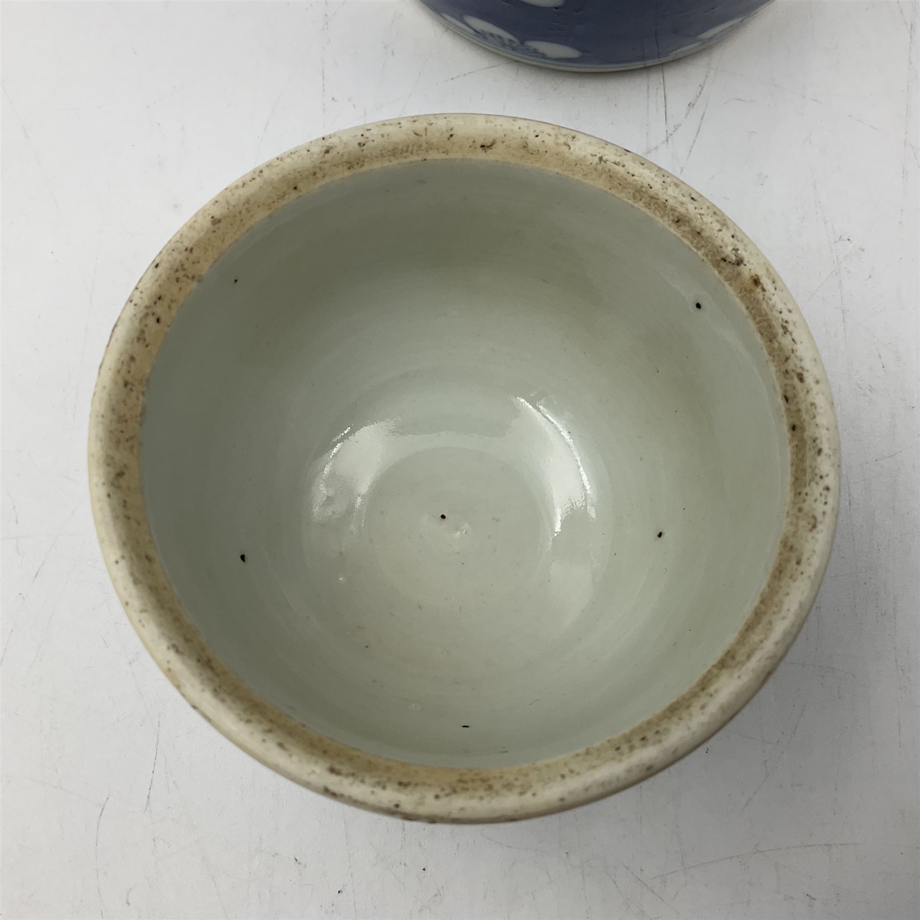 Late 19th century Chinese blue and white jar and cover, of slender ovoid form with domed cover, decorated with two reserves containing figures, against a prunus blossom ground, with Kangxi type mark beneath, H27.5cm