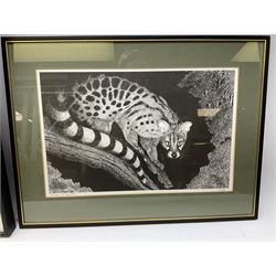 After William Baker (British 20th century): Genet and Jaguar, pair limited edition prints signed in pencil dated 1980 and numbered 37/250 and 38/250 respectively together with a screenprint of palm trees max 25cm x 38cm (3)