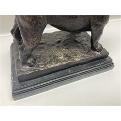 Bronze figure, modelled as an English Bulldog, upon rectangular stepped marbled base, after Mene, H23cm