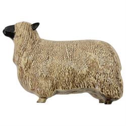 Three Beswick pigs, comprising Saddleback, Vietnamese and Berkshire Boar and a Wensleydale sheep 
