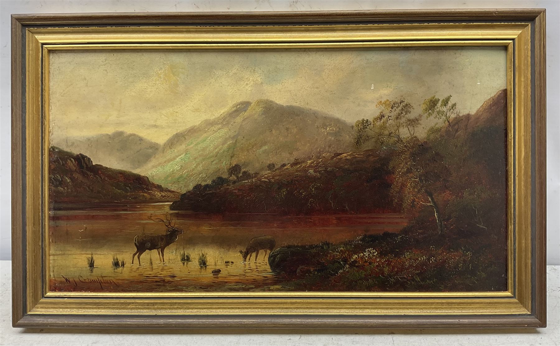 William James Smith Crampton (British 1855-1935): Highland Stag, oil on board signed 24cm x 46cm 