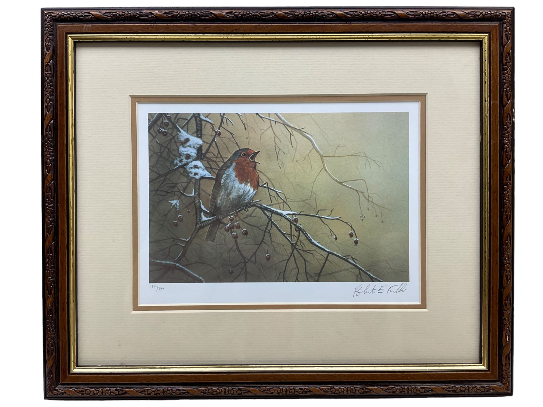 Robert E Fuller (British 1972-): 'Robin on Hawthorn', limited edition colour print signed and numbered 154/2000 in pencil 18cm x 25cm