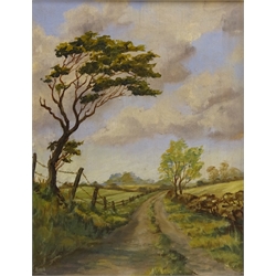  Nina Pickup (British 20th century): 'Breakthrough' and 'Breezy Day', two oils on board signed, titled verso 24cm x 29cm and 24cm x 19cm (2)  