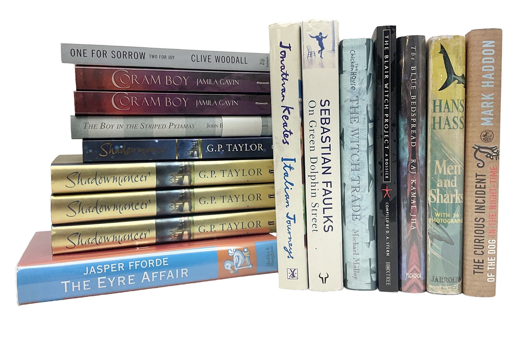 Collection of first edition books, to include John Boyne; The Boy in the Striped Pyjamas, limited edition 910/1000, singed by author, Jasper Fforde; The Eyre Affair, signed by author, Mark Haddon; The Curious Incident of the Dog in the Night-time , D.A.Stern; The Blair Witch Project: A Dossier, etc (16)
