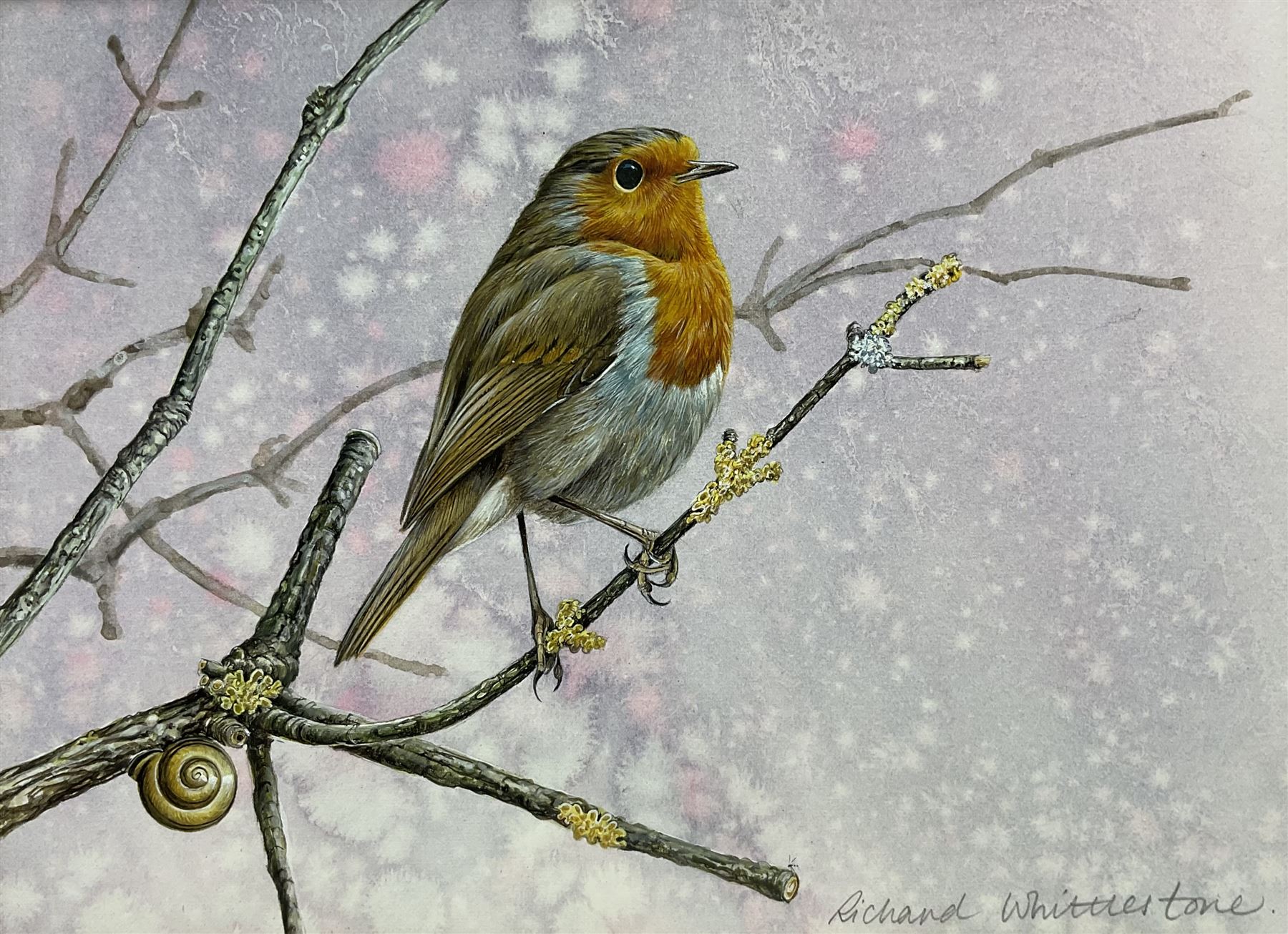 Richard Whittlestone (British 1963-): Robin and Snail on a Branch, watercolour signed 17cm x 23.5cm
