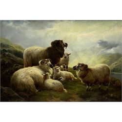 Robert Watson (British 1865-1916): Sheep in a Highland setting, oil on canvas signed and dated 1898, 31cm x 46cm