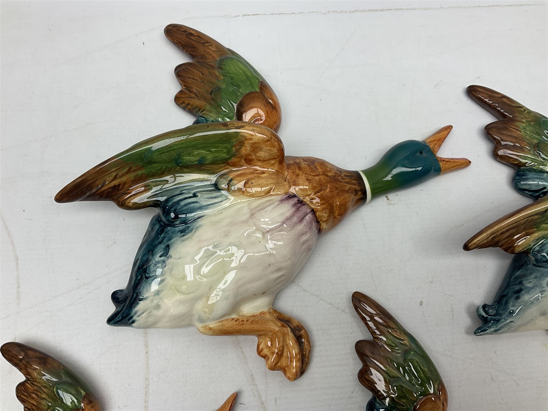 Set of five Beswick graduated wall mounting figures of flying ducks, models from 596/0 to 596/4, largest L29cm