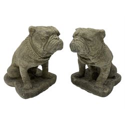 Pair of cast stone garden bulldogs on shaped plinths