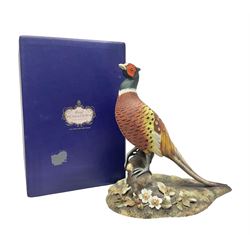 Royal Crown Derby Pheasant, signed by artist Lyndsey Selley, in original box, H38cm 