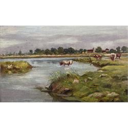 Frederick William Jackson (Staithes Group 1859-1918): Cattle Taking a Drink, oil on canvas laid on board unsigned 19cm x 31cm 
Provenance: exh. Phillips & Sons Cookham, October 1988, label verso