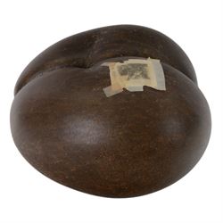 Coco De Mer (Lodoicea Maldivica) with license label, 1960/1970, Lodoicea, commonly known as the sea coconut, coco de mer, or double coconut, a seed of the palm family, from the islands of Praslin and Curieuse in the Seychelles