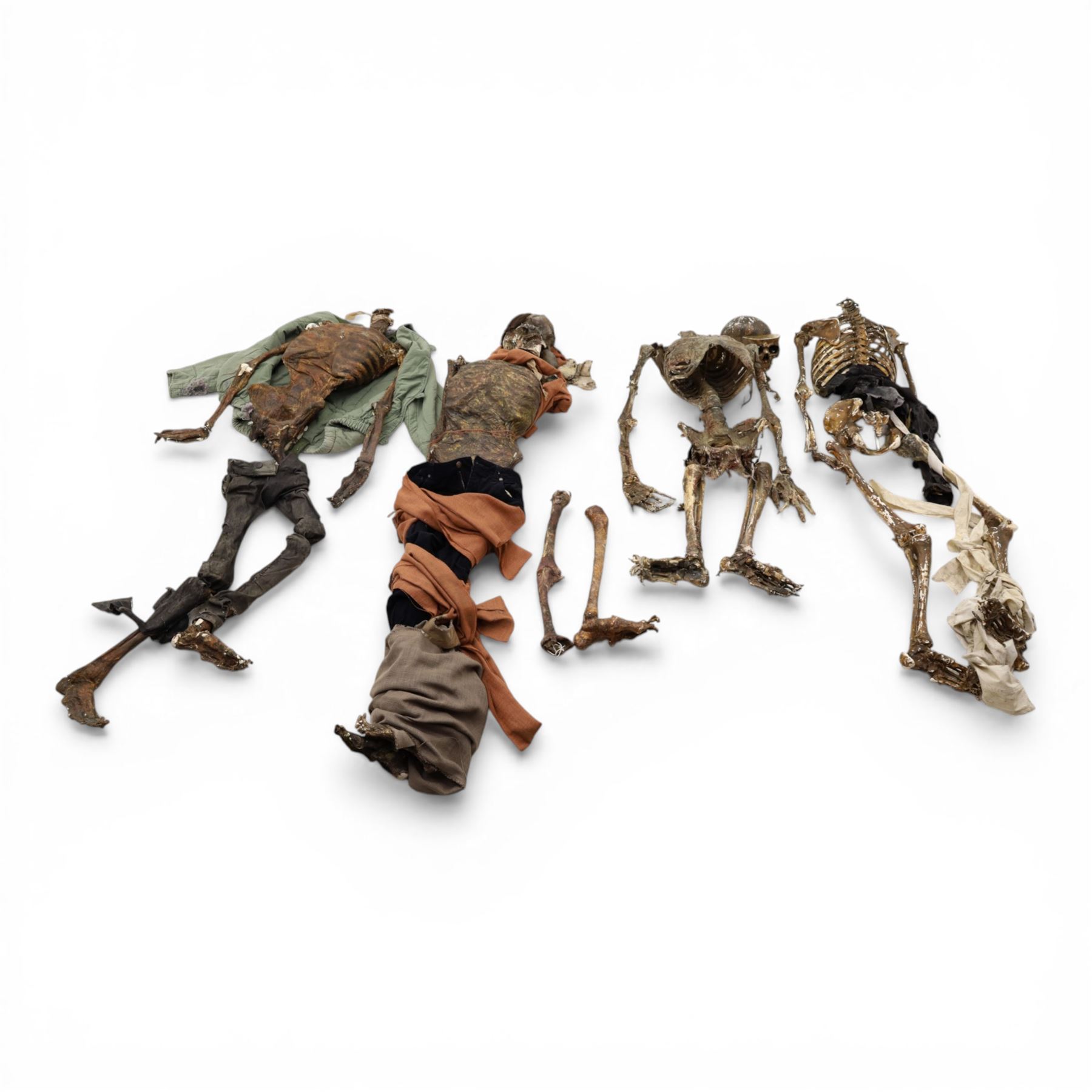 FILM PROPS; four decomposing prop cadavers, each with articulated joints and limbs, likely from a TV or film production, each prop displays intricate detailing with realistic aging and weathering, with a body bag