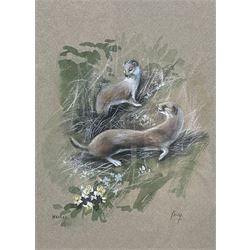 Keith Tovey (British 1932-2008): 'Weasel' and 'Wood Mouse', two watercolours signed and titled 19cm x 13.5cm and 16.5cm x 11cm (2)