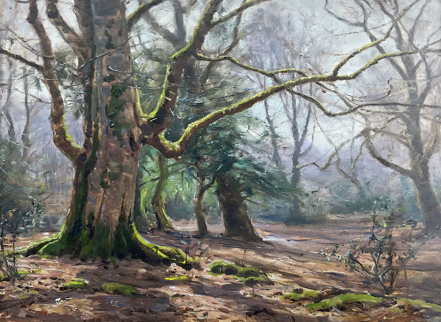 Frederick Golden Short (British 1863-1936): Sunlight in the Forest, oil on board signed and dated 1910, 22cm x 29cm