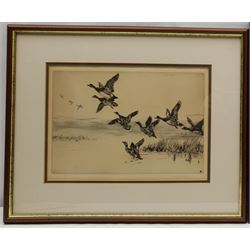 Winifred Maria Louise Austen (British 1876-1964): Mallards in Flight, drypoint etching signed in pencil 22cm x 30cm