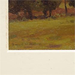David Woodford (British 1938-): 'Tree Study 2', oil on board signed, inscribed and dated 1996 verso 12cm x 26cm (unframed)