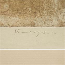 Freya Payne (British 1968-): 'Fallen Angel', limited edition colour etching signed titled and numbered 1/4 in pencil 45cm x 61cm