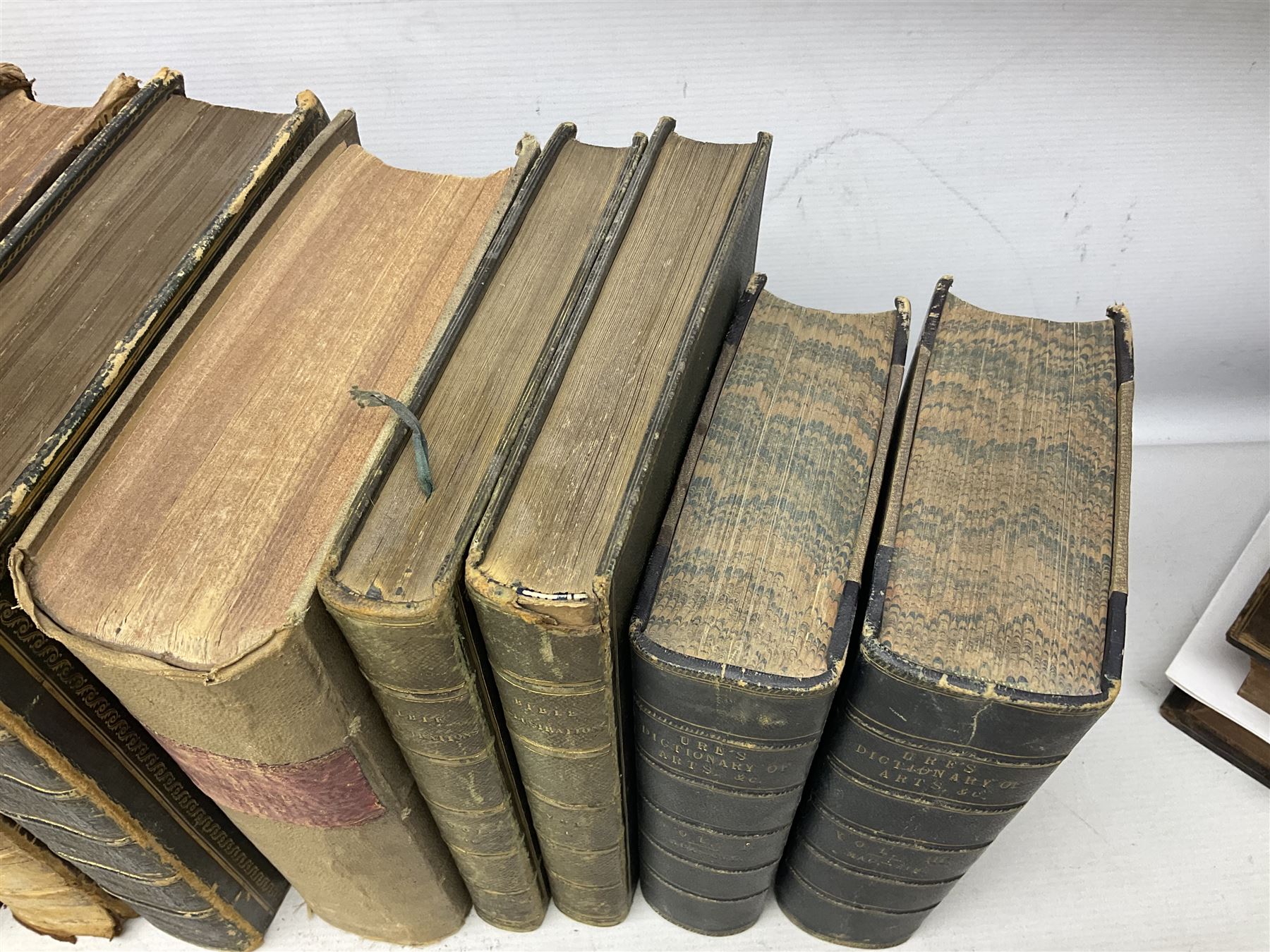 Radcliffe F.P Delme; The Noble Science of fox Hunting, together with Morris Ref F.O; Natural History of British Moths Volume I, Irving Washington, Rip Van Winkel, illustrated by Arthur Rackhan, together with other antique books