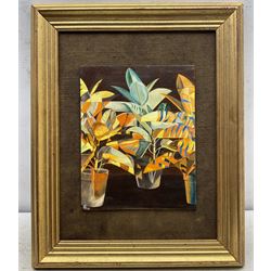 W L Gillborn (New Zealand 20th century): 'Malaysian Croton Plants - Abstract Study', oil on canvas laid on board signed with monogram and dated '96, titled verso 26cm x 20cm 