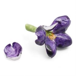 Halcyon Days enamel trinket boxes including 'My Sweetheart', Strawberry, Fabergé inspired heart-shaped box, small egg-shaped box, Rosebud, 'Primroses & Violets' etc, together with a porcelain model of a Teddy bear with agate base (9)