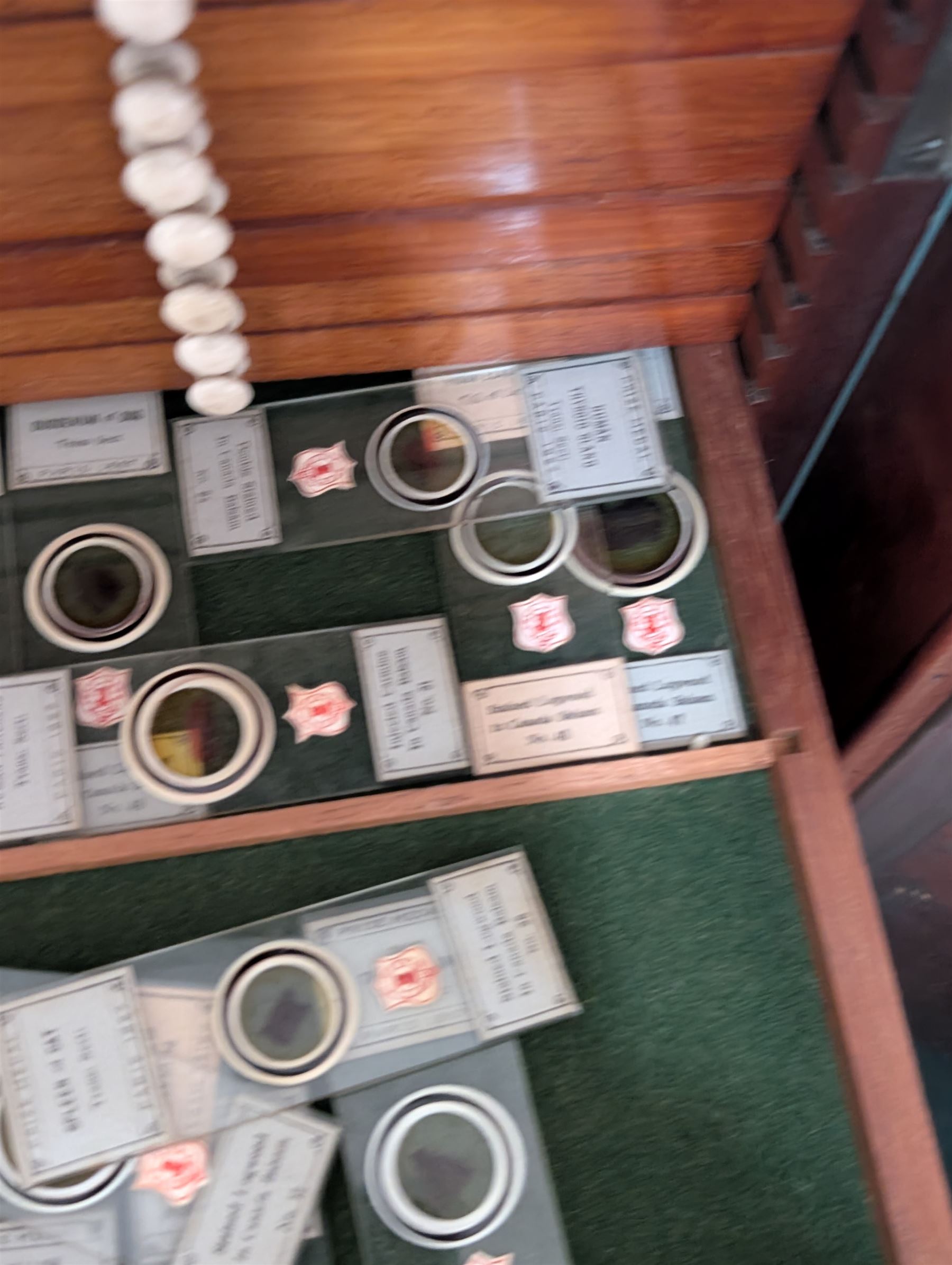 Victorian collector's specimen cabinet, containing a number of prepared microscope slides including miniature photographs, animal and human pathological, physiological and histological specimens and botanical specimens, mostly annotated in ink, the cabinet with glazed door, the drawers with bone handles and lined with green felt, owned by Dr Arthur Bristow, together with a picture of the doctor, cabinet H43cm