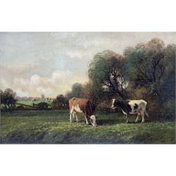 C Wouters (Dutch 20th Century): Grazing Cows, oil on board signed 38cm x 58cm 