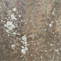 Cast iron Planter / trough along with three cast stone planters