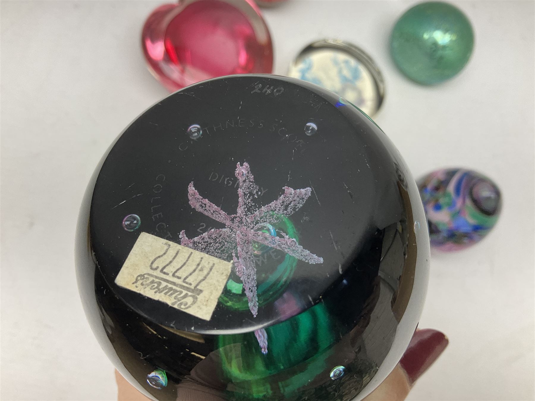 Quantity of glassware to include Mats Jonasson colour wolf paperweight, Murano dolphin and flamingo figures, Caithness Dignity and Tango paperweights, set of six Edinburgh Crystal glass tumblers, art glass dish etc