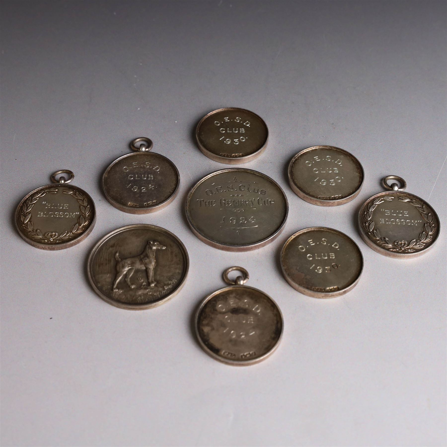 Seven 1920s Old English Sheepdog silver medals, all hallmarked, together with two further silver plated dog related medals