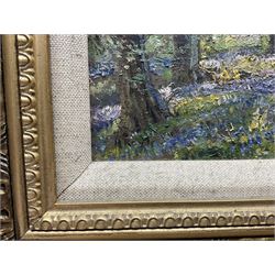 Herbert F Royle (British 1870-1958): The Bluebell Wood, oil on board signed 28cm x 33cm