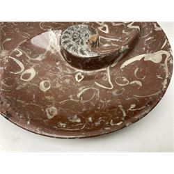Large circular dish with a raised Goniatite to the centre and Orthoceras inclusion, age: Devonian period, location: Morocco, D30cm