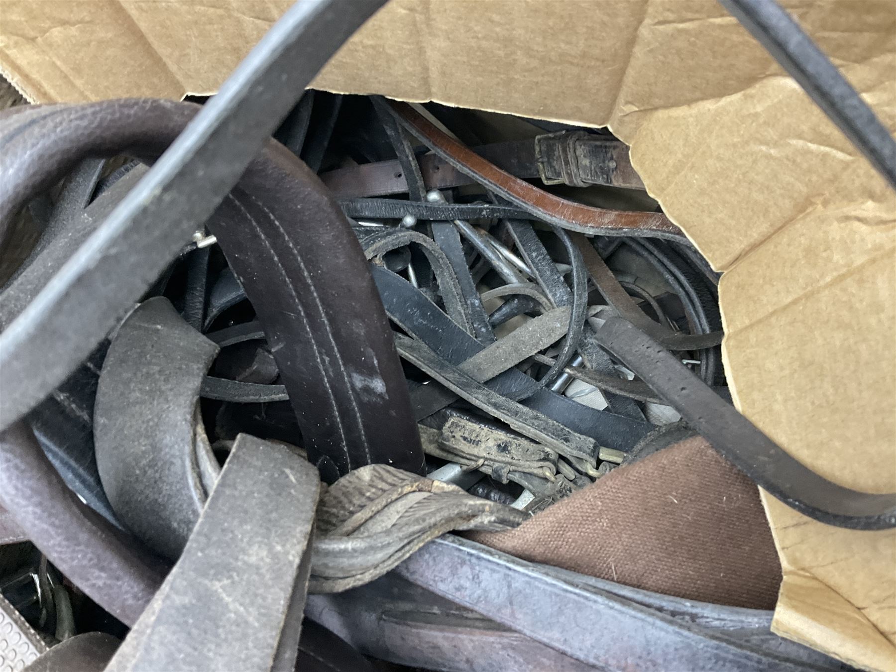 Quantity of horse tack and equipment to include Hauptner electric horse clippers, The Horseman Electric Clippers, bits, bridles, girths, rugs, jodpa boots etc  