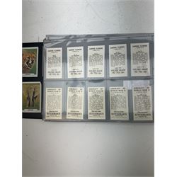 Cigarette, tea and other trade cards, including Ty-phoo, Cavanders Ltd, Rockwell Publishing, Wills, Disney Treasures, various reprint cigarette cards etc, Housed in various ring binder albums and booklets