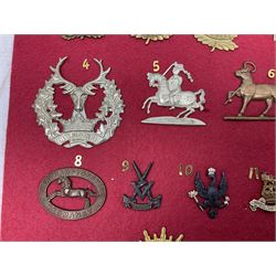 Forty glengarry and cap badges and shoulder titles including Gordon Highlanders, Canada and Canadian Field Artillery, New Zealand Field Artillery and Rifle Regiment, Shropshire Light Infantry, 14th/20th Kings Hussars, 17th Lancers, Northamptonshire Yeomanry, Royal Lincolnshire, Special Air Service, 19th Alexandra P.W.O. Hussars etc; mounted on two boards for display (2)