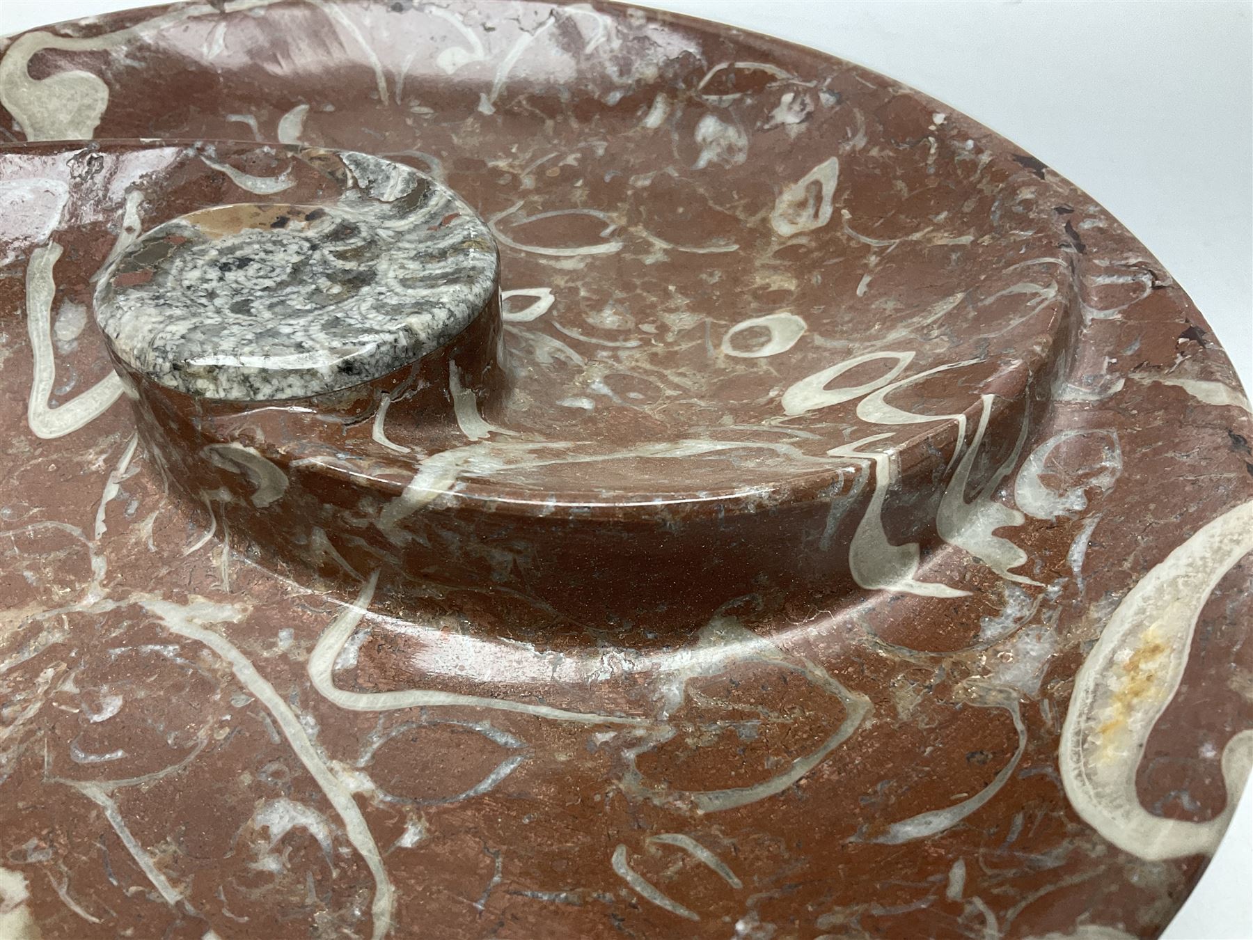 Large circular dish with a raised Goniatite to the centre and Orthoceras inclusion, age: Devonian period, location: Morocco, D30cm