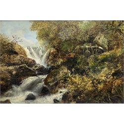 E Fraser (Scottish 19th century): Picnic Next to Roaring Waterfall, oil on board signed and dated 1884, 29cm x 44cm