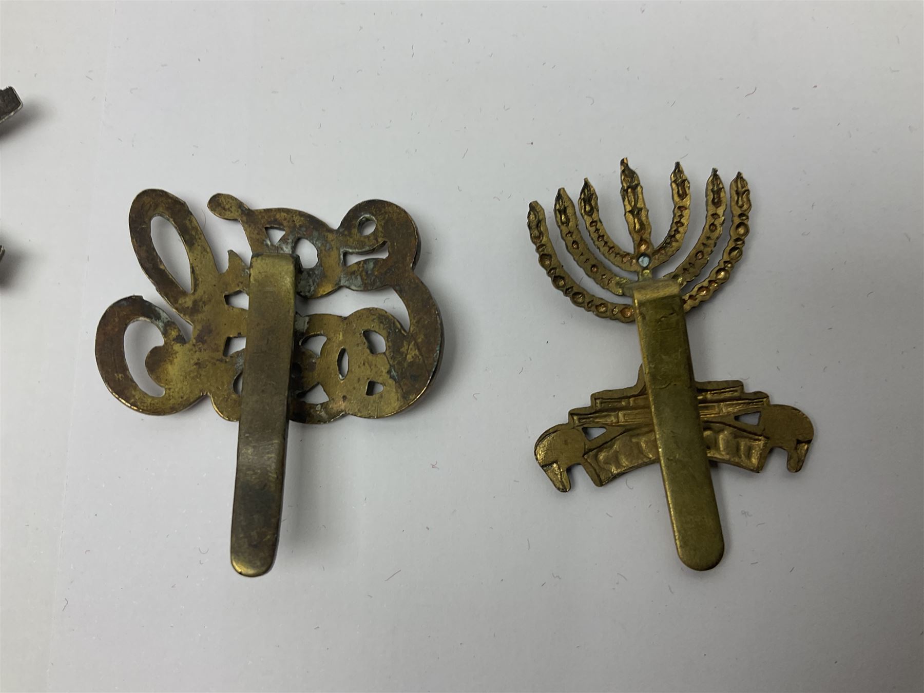 Seventeen cap badges including Expeditionary Forces Canteen, Machine Gun Corps, Tank Regiment, Jewish Battalions, Ordnance Corps, Medical Corps, Cyclist Corps, RFC & RAF, Veterinary Corps, Drake battalion etc (17)