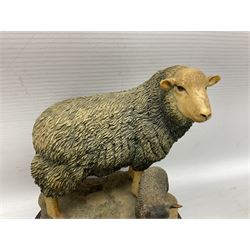 Border Fine Arts limited edition Herdwick Ewe and Lamb figure group, by Ray Ayres, 270/500, with wood base and certificate, H16cm