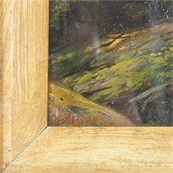 Walter Linsley Meegan (British c1860-1944): Waterfall and River Landscapes, pair oils on canvas signed 24cm x 34cm (2)