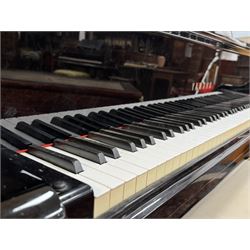 Yamaha - Baby Grand (5' 3