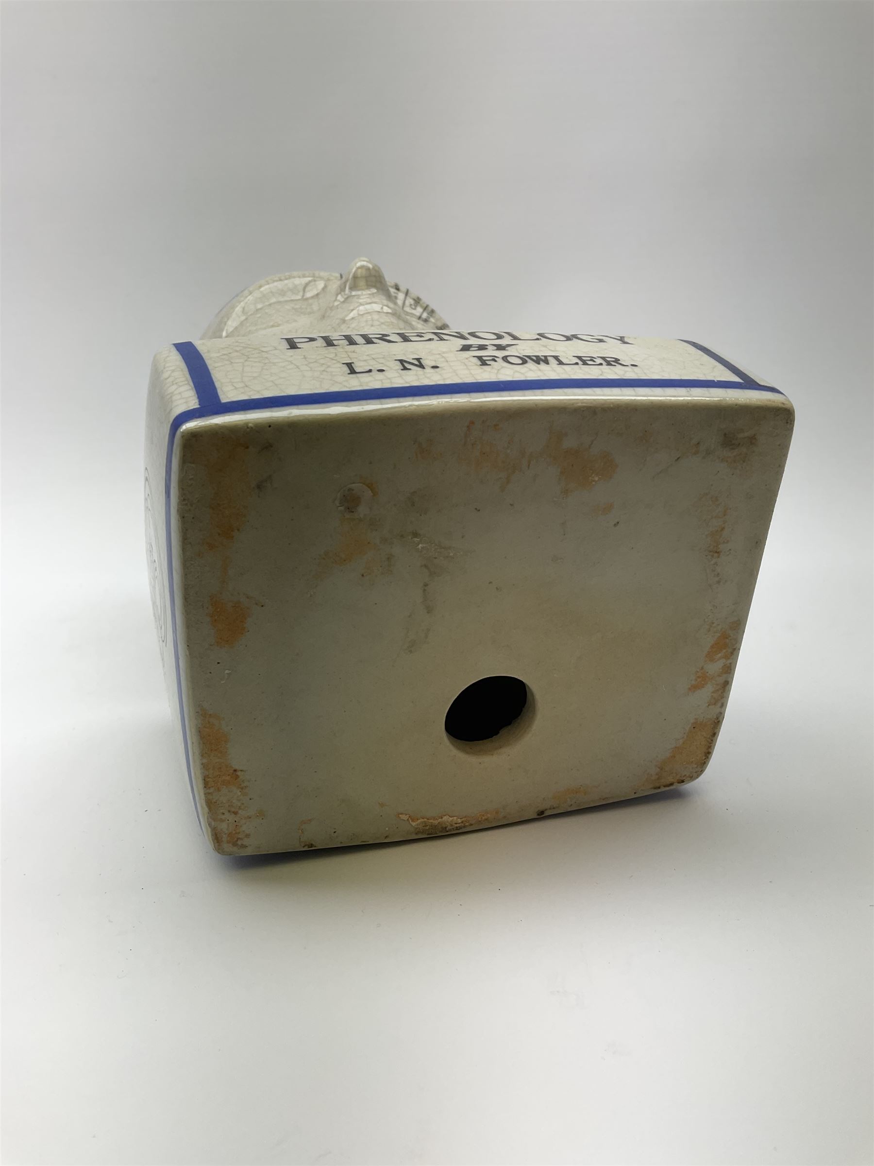 A Phrenology head detailed L.N. Fowler, H27.5cm. 