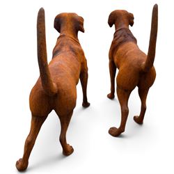 Pair of weathered cast iron garden statues in the form of standing foxhounds with outstretched tails and collars, in rusted patina