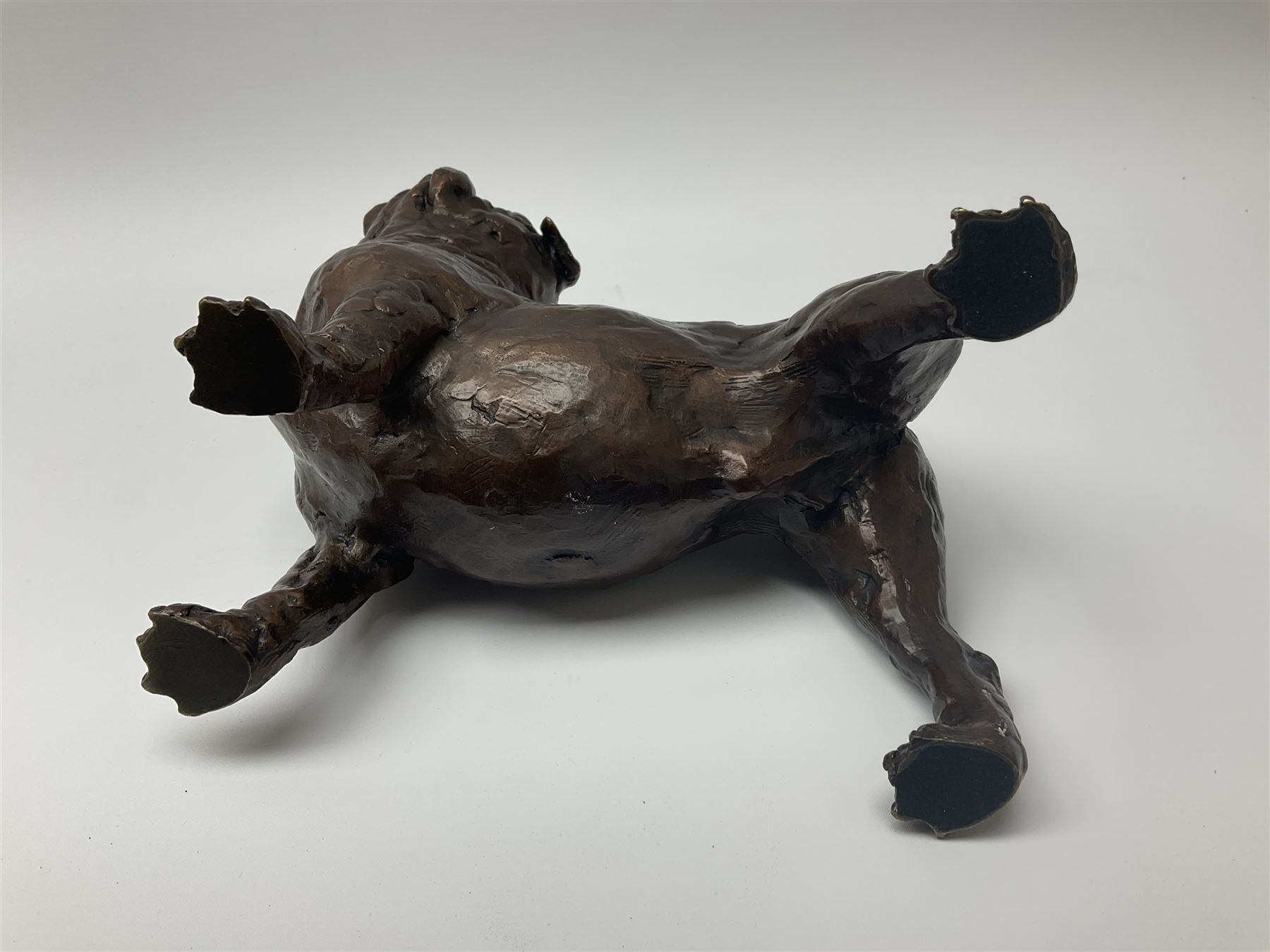 Grant Palmer, cold cast bronze model of a pug, H21.5cm L21cm