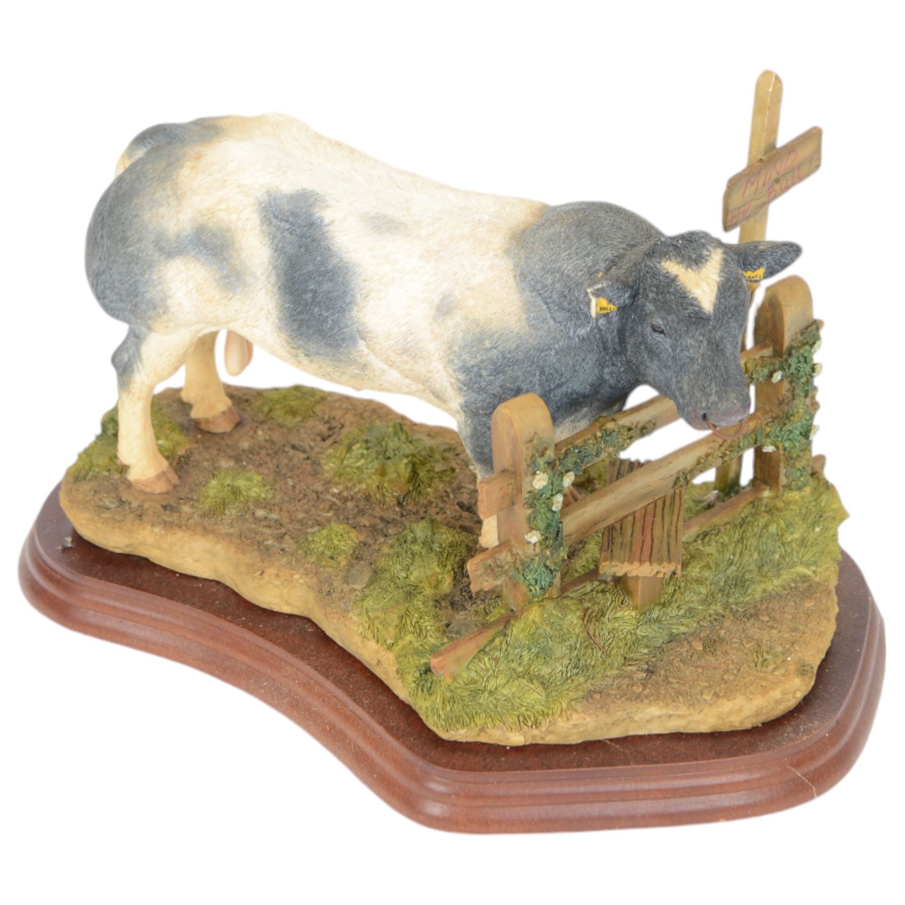 Two Border Fine Arts bull figures, comprising Belgian Blue Bull No A8953 and Limousin Bull No A9788