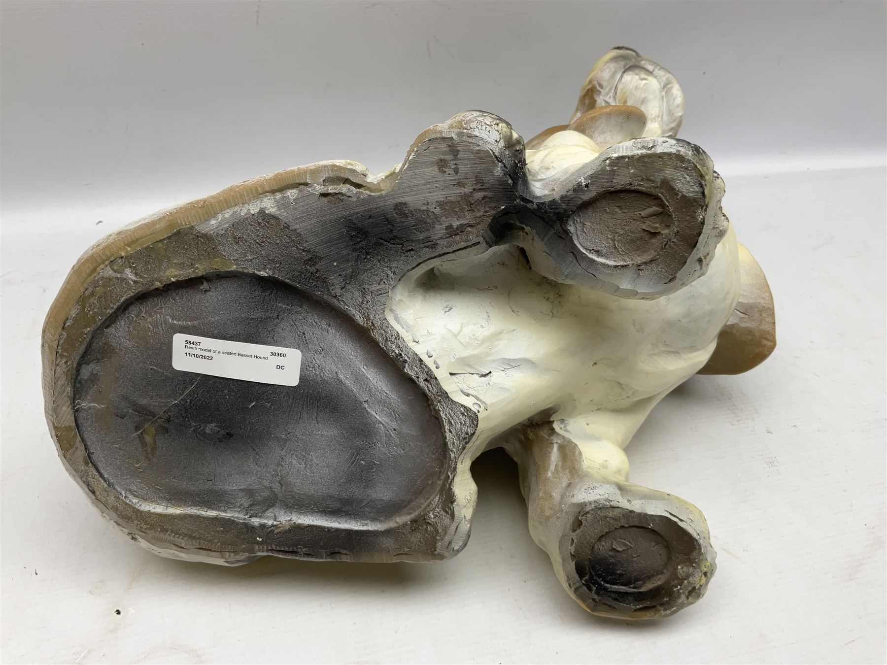 Composite model of a seated Basset Hound, H34cm