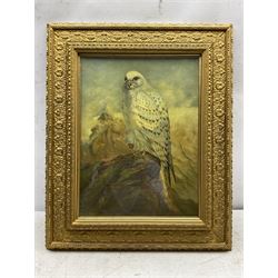Edward Gilbert after Joseph Wolf (German 1820-1899): Greenland Gyr Falcon, oil on canvas signed 39cm x 29cm