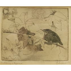Sjoerd Kuperus (Dutch 1893-1988): Bird Studies, pair etchings signed and titled in pencil 10cm x 12cm and 11cm x 13cm (2)