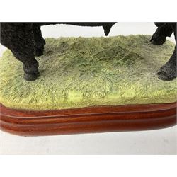 Border Fine Arts figures, to include Galloway Bull, A2692, Galloway Cow & Calf, A3790, Well Warmed, A1454, Found Safe, A0602 etc (7) 