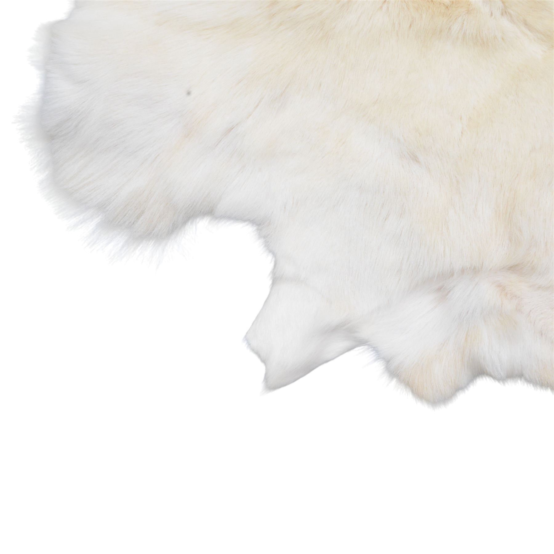 Skin/ Hide; White Reindeer hide rug, L32cm