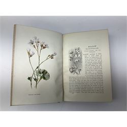 Hulme, F. Edward; 'Familiar Wild Flowers' with coloured plates, five volumes, together with Hulme, F. Edward; 'Familiar Garden Flowers' described by Shirley Hibberd with coloured plates, five volumes, each with coloured title labels 